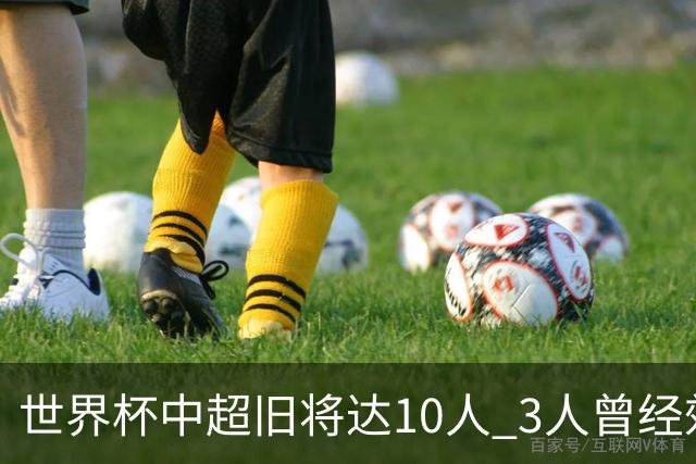 世界杯中超旧将达10人 3人曾经效力国安海港两将