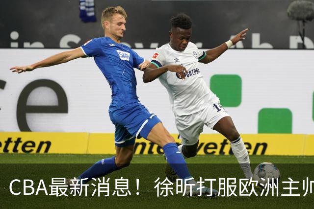 CBA最新消息！徐昕打服欧洲主帅，上海票价涨10倍，胡金秋伤病出炉
